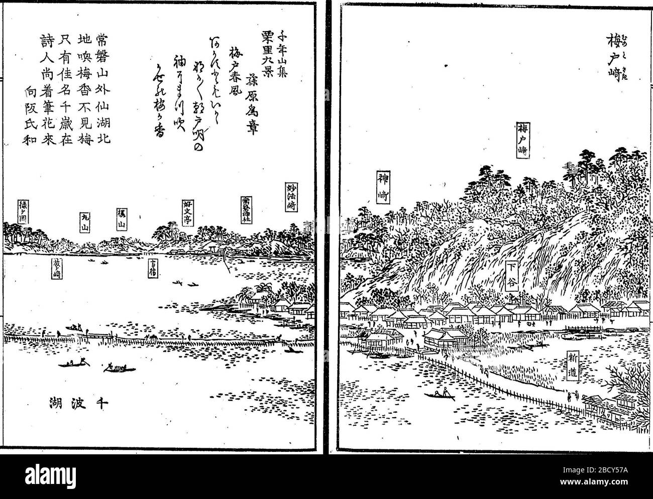 46 50 High Resolution Stock Photography and Images - Alamy