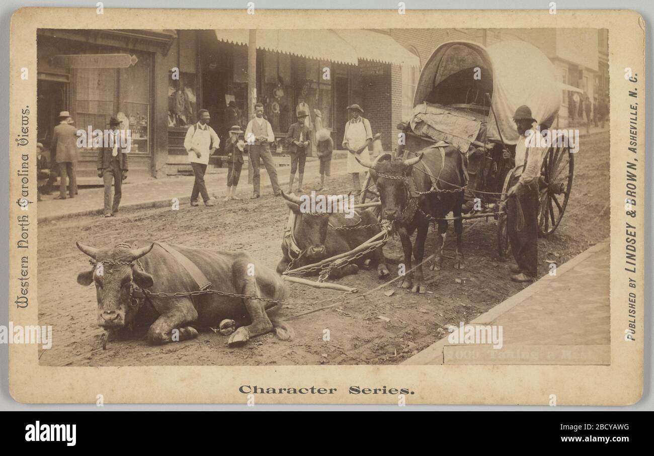 No 2009 Taking a Rest. A cabinet card with a black-and-white print depicting an unidentified man standing next to a Conestoga wagon drawn by three (3) oxen. Two of the oxen lay down on the dirt street. No 2009 Taking a Rest Stock Photo