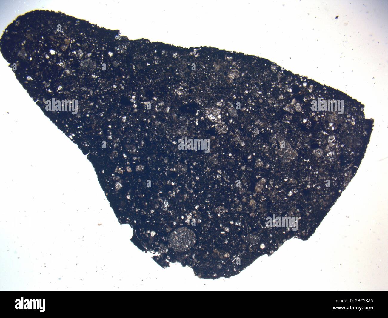 Micrograph of LAP 04845,3 meteorite under plane-polarized light at 1.25 ...