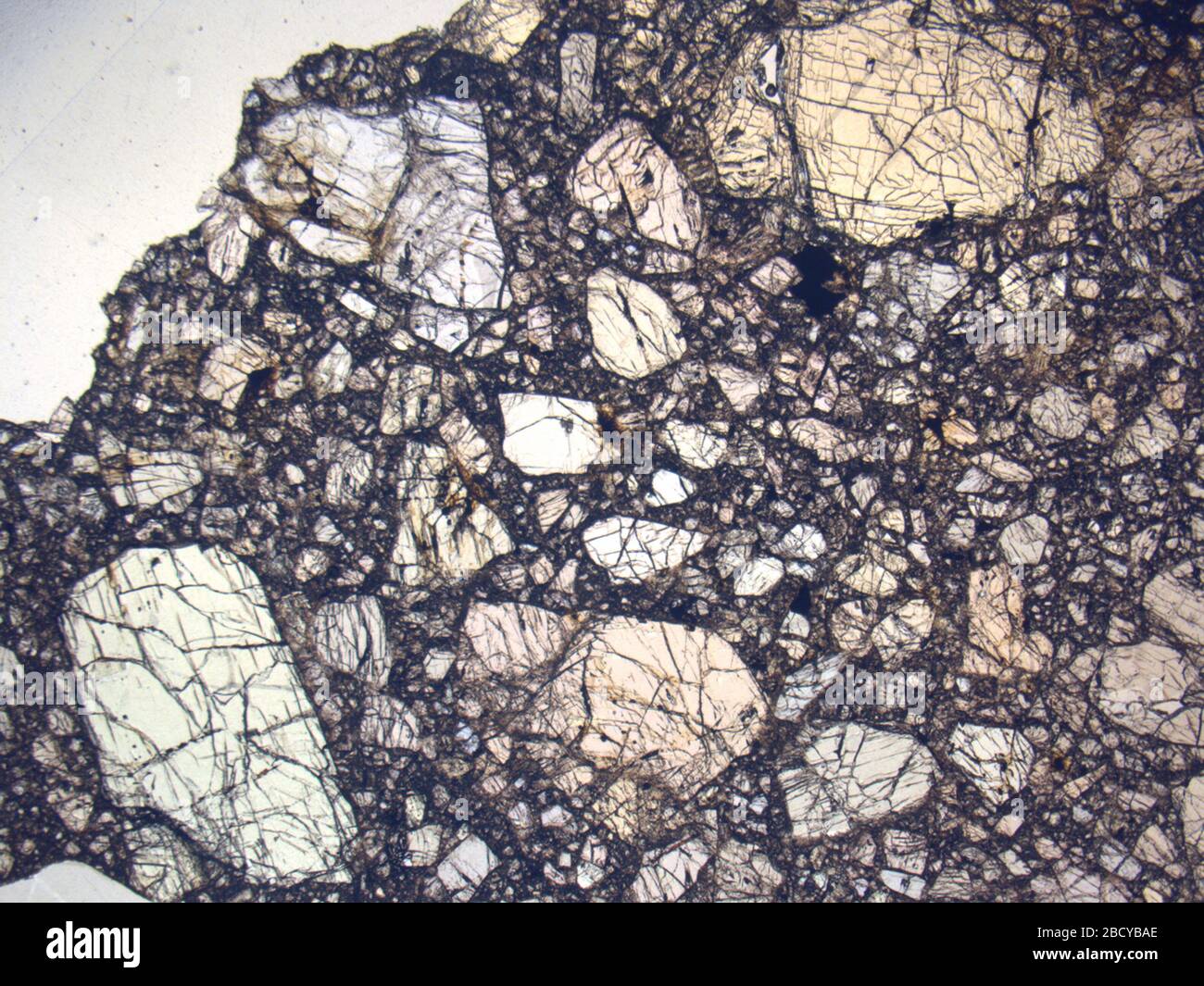 Micrograph of SAN 03473,2 meteorite under plane-polarized light at 1 ...