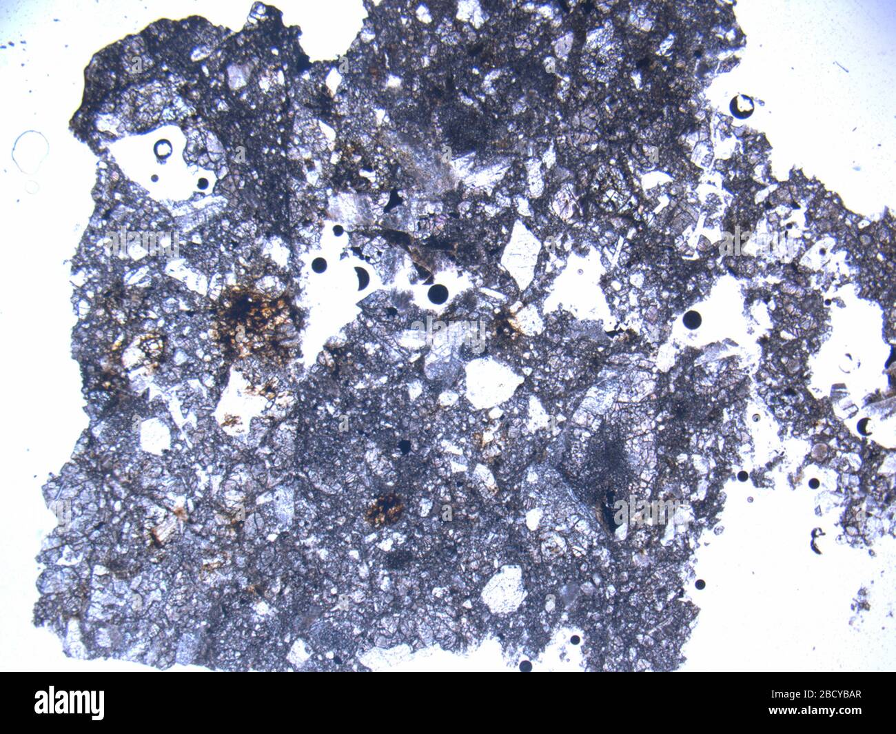 Micrograph of DOM 10103,2 meteorite under plane-polarized light at 1 ...