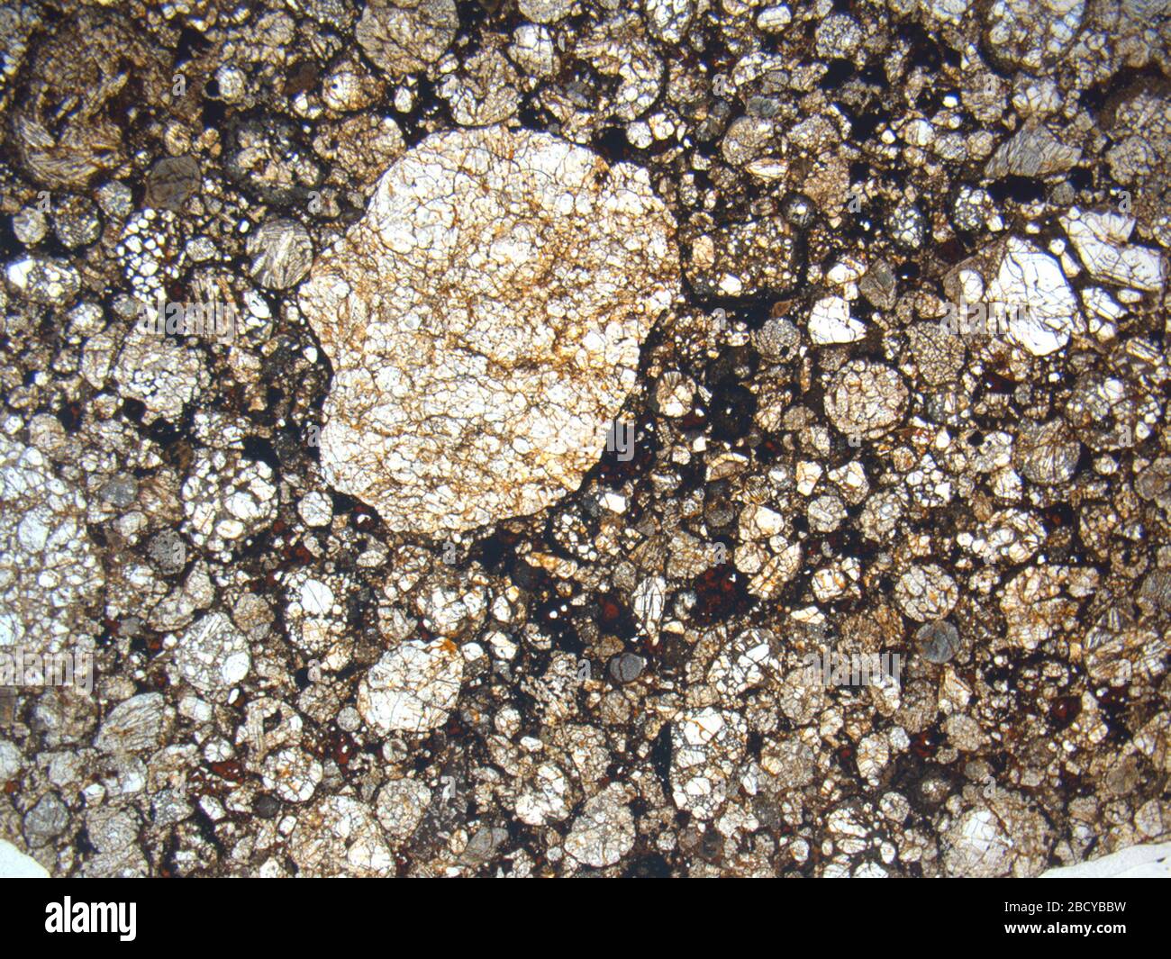 Micrograph of ALHA81292,2 meteorite under plane-polarized light at 1 ...