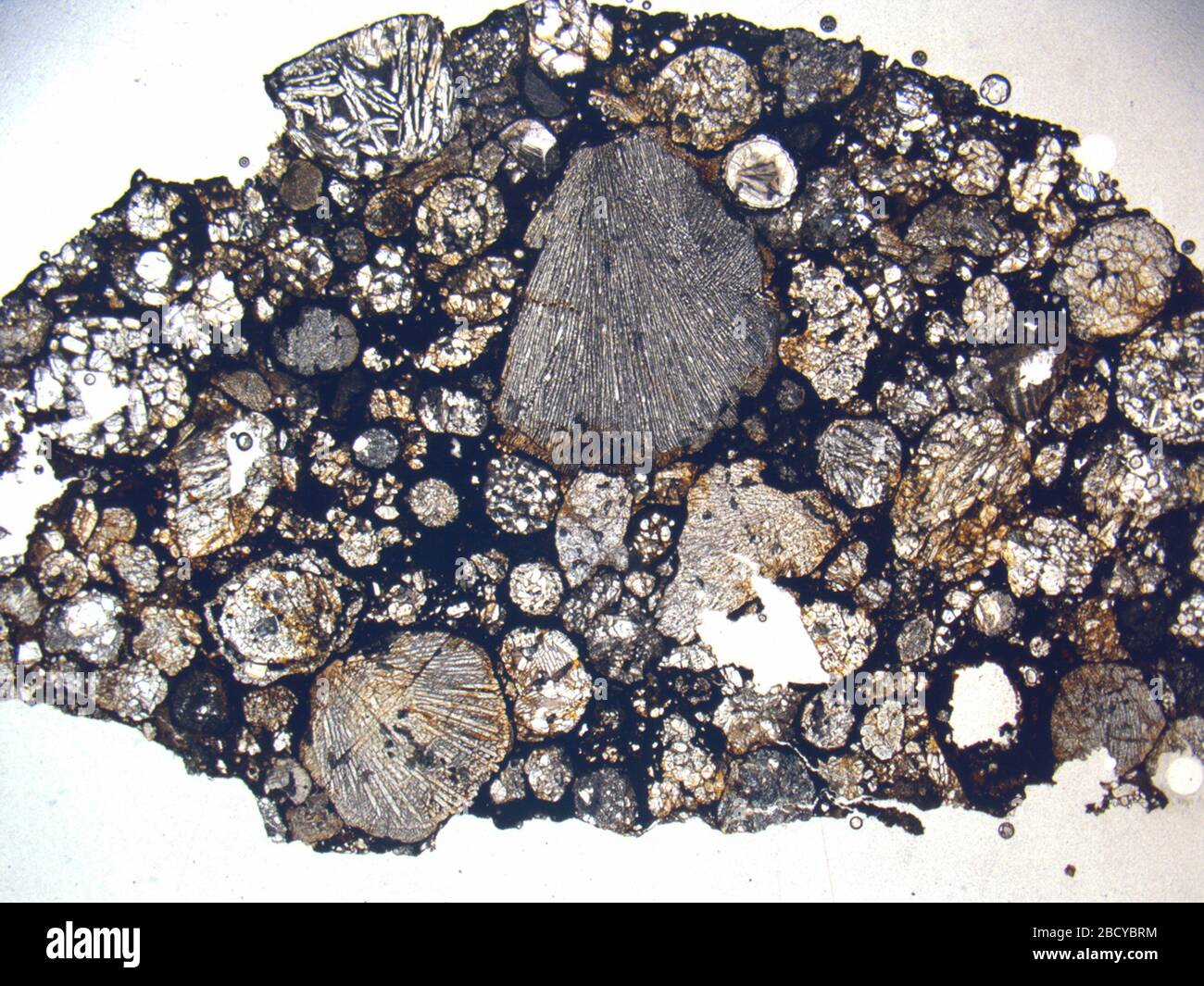 Micrograph of LAP 031346,2 meteorite under plane-polarized light at 1 ...