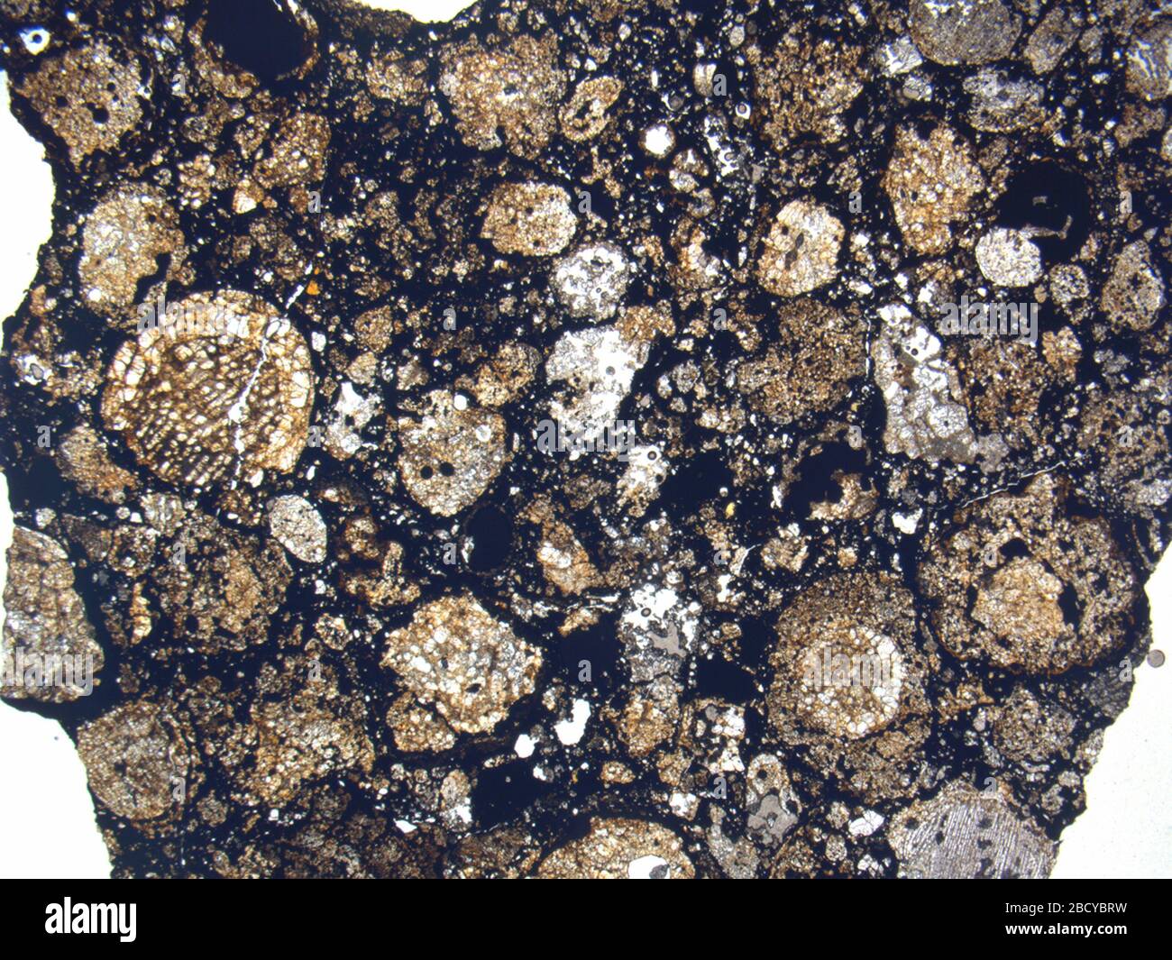 Micrograph of LAP 02342,2 meteorite under plane-polarized light at 1 ...