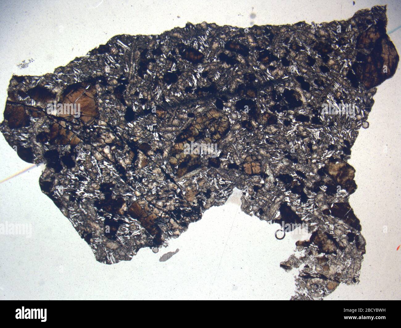 Micrograph of LAR 06319,2 meteorite under plane-polarized light at 1 ...