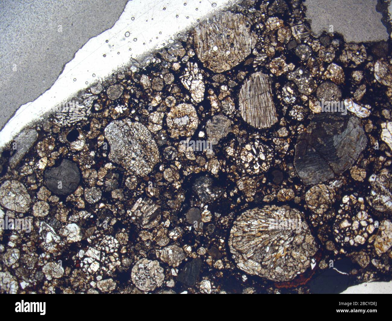 Micrograph of LAR 06469,2 meteorite under plane-polarized light at 1 ...
