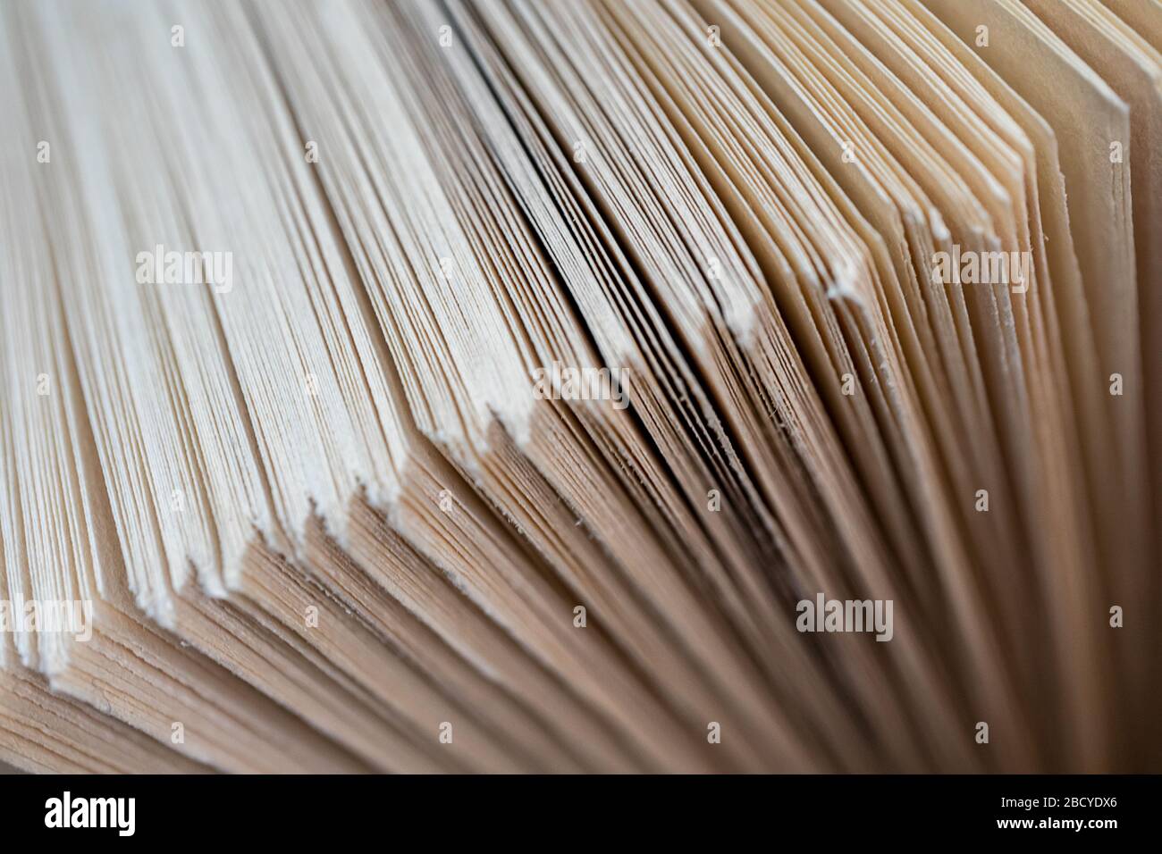 Closed Book Pages
