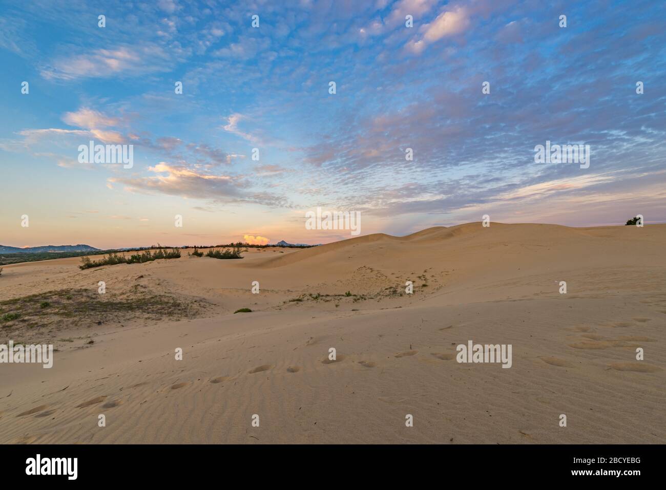 Beautiful beach sand dune under sunset sky Stock Photo - Alamy