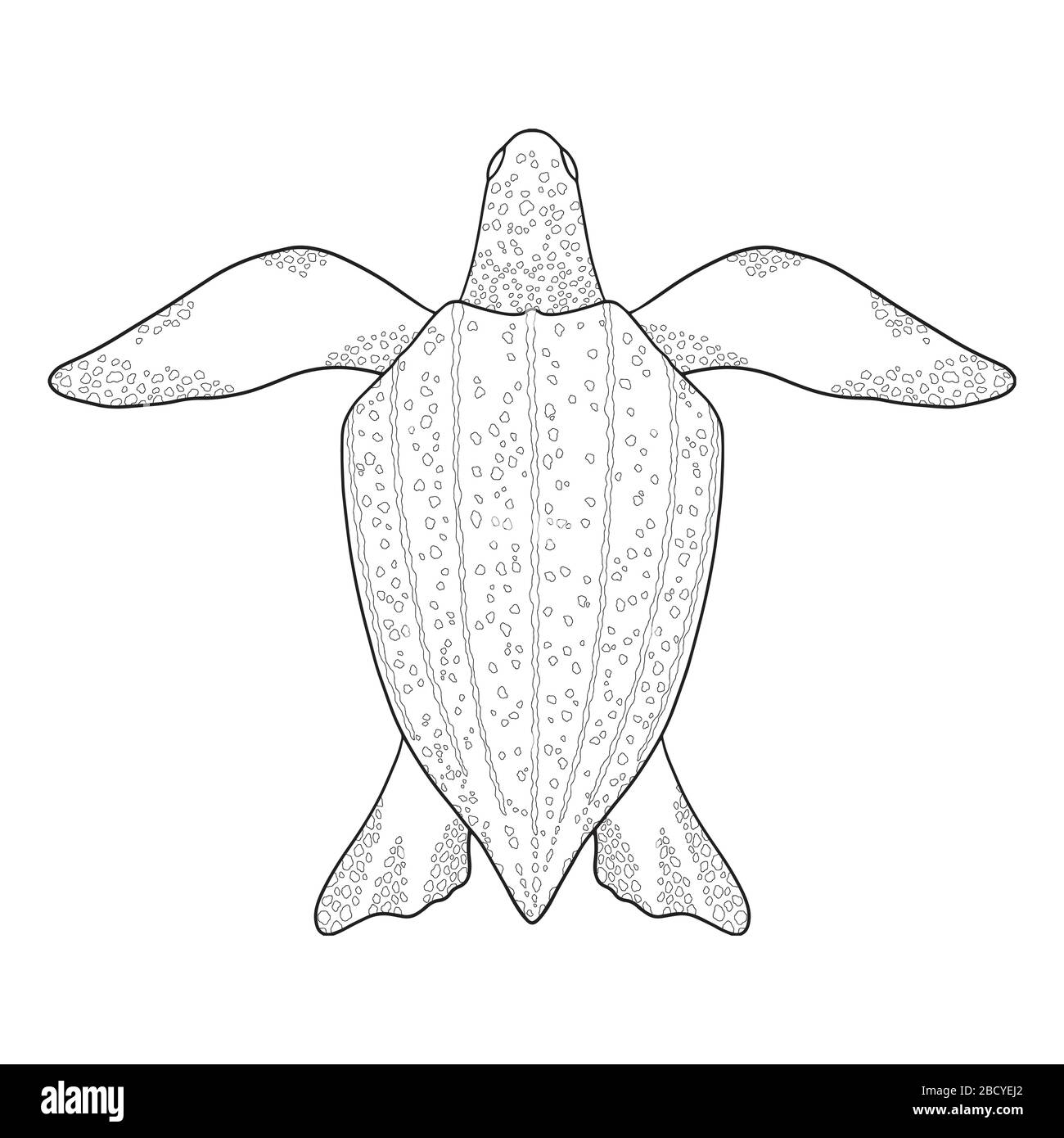 Leatherback Sea turtle outline. Black and white vector illustration. Top view, Isolated turtle on white background Stock Vector