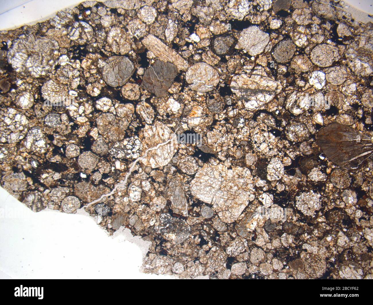 Micrograph of ALHA78013,1 meteorite under plane-polarized light at 1 ...