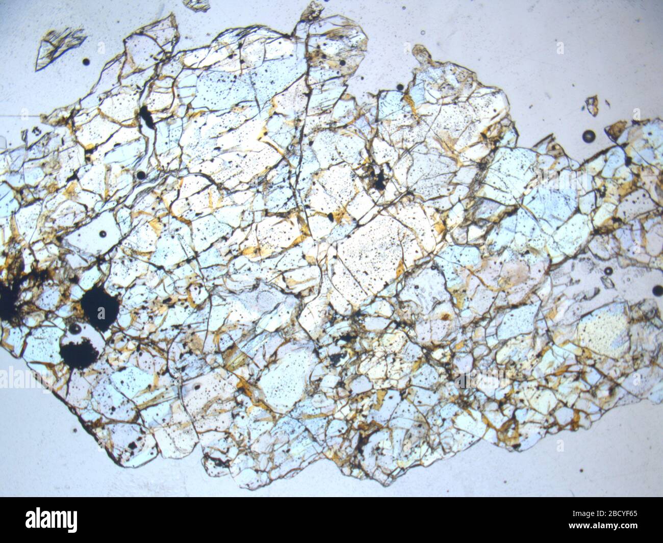 Micrograph of DOM 10350,2 meteorite under plane-polarized light at 1 ...