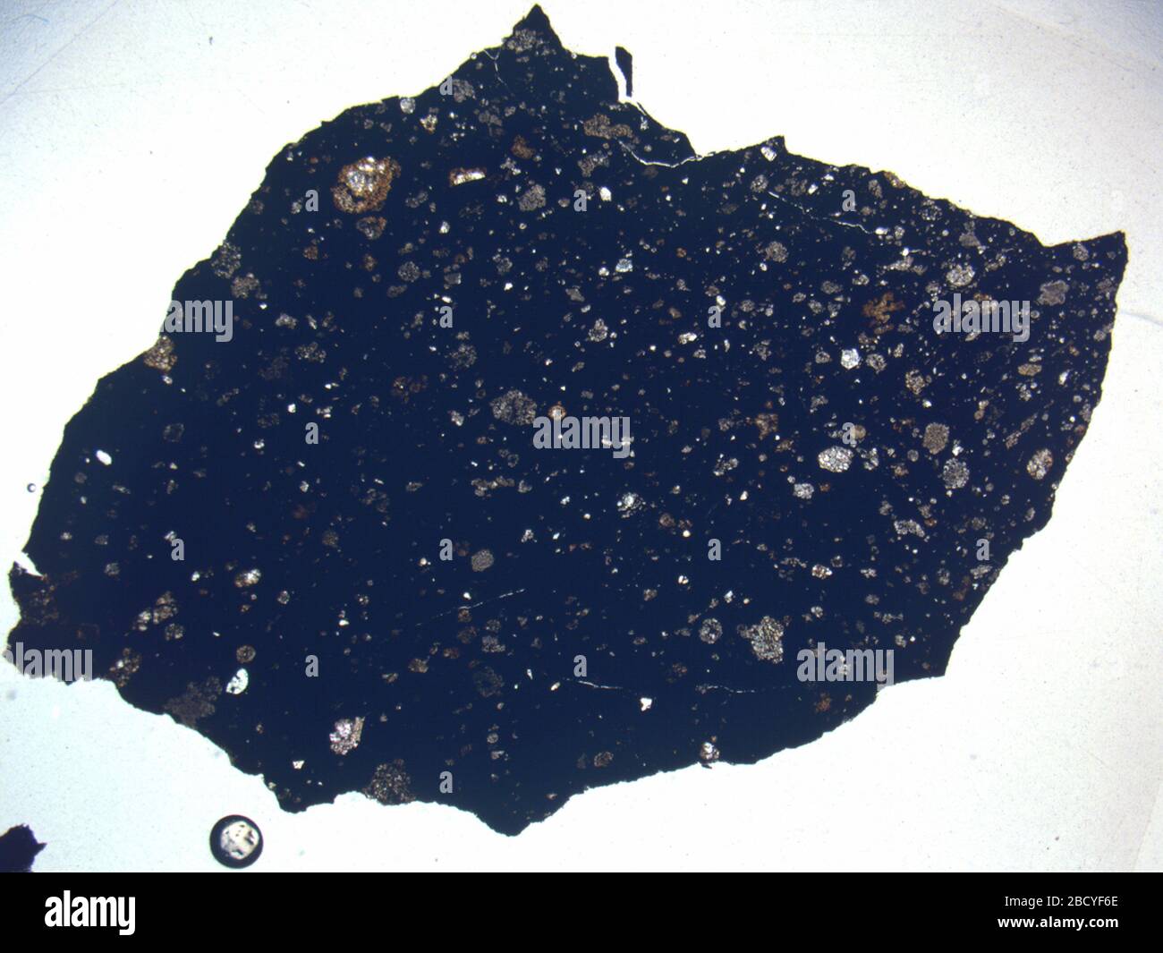 Micrograph of LAP 04675,2 meteorite under plane-polarized light at 1 ...