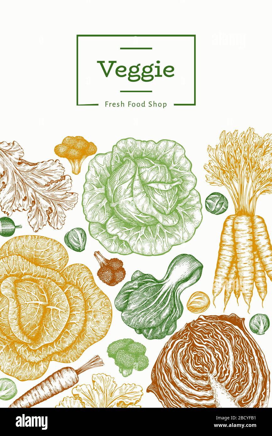 Hand drawn sketch vegetables design. Organic fresh food vector banner ...