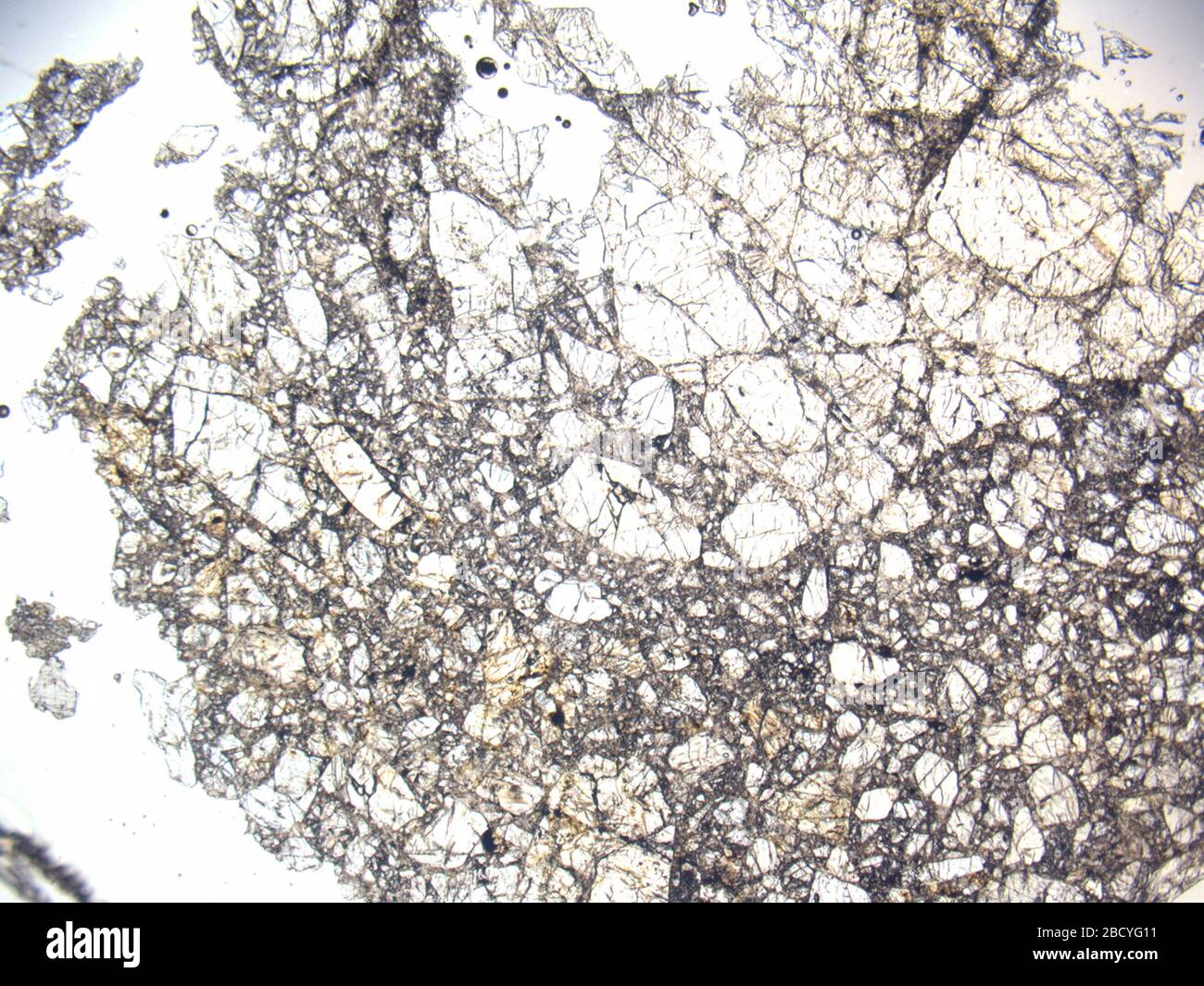 Micrograph of LAP 04839,4 meteorite under plane-polarized light at 1 ...