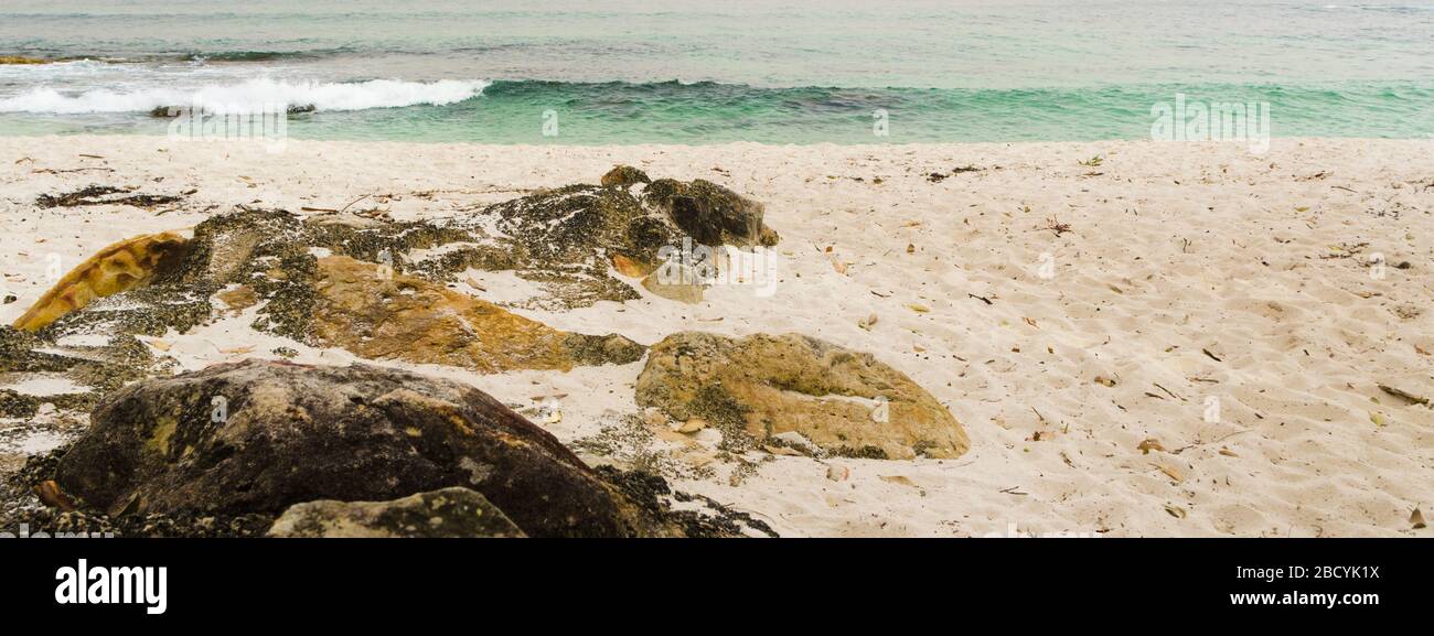 White sandy beach with rocks with ocean surf. Concept horizontal web banner for beach travel, holidays, getaways and relaxing. Stock Photo