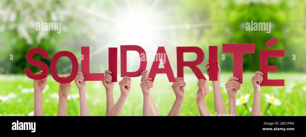 People Hands Holding Word Solidarite Means Solidarity, Grass Meadow Stock Photo