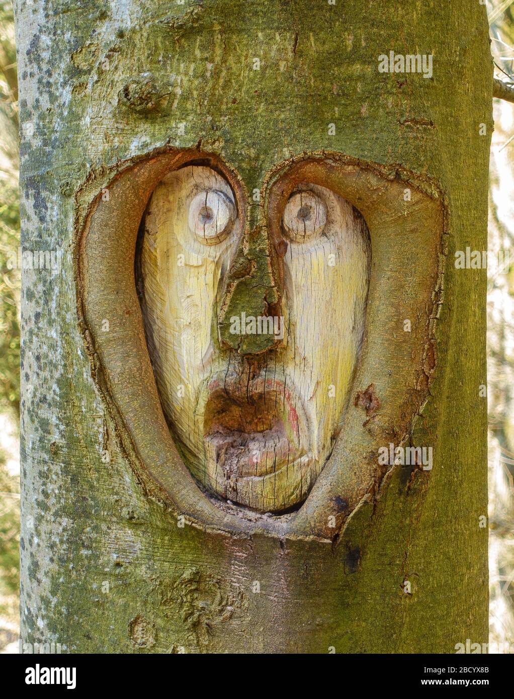 Carved grimace in a tree at the hiking trail Fratzenweg in Aichtal-Neuenhaus Stock Photo