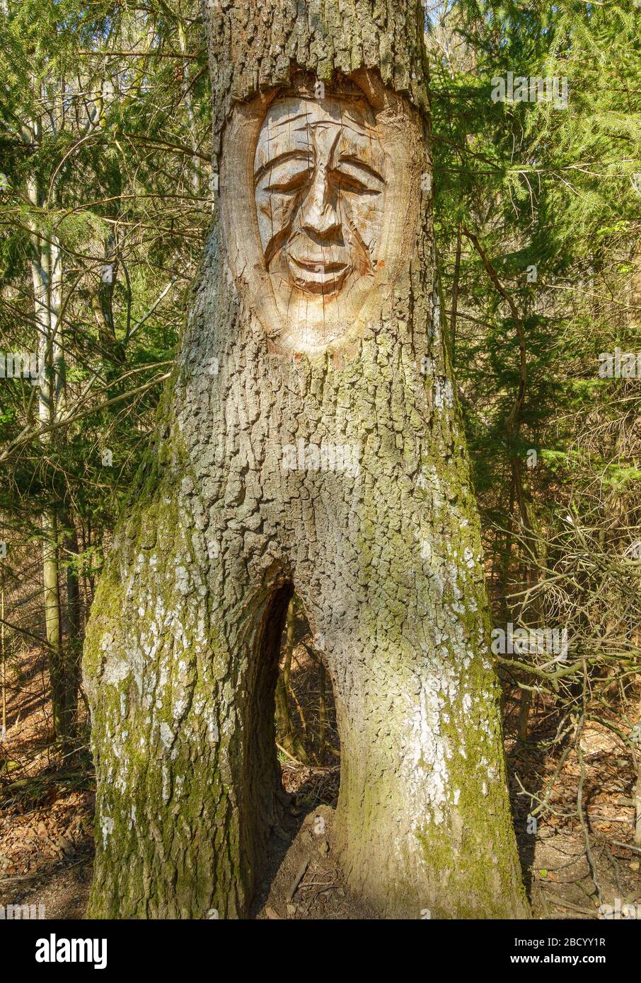 Tree with a carved grimace at the hiking trail Fratzenweg in Aichtal-Neuenhaus Stock Photo
