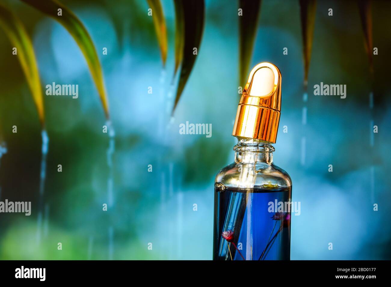 lemongrass essential oil dropping to glass bottles on natural green background, Insect repellent