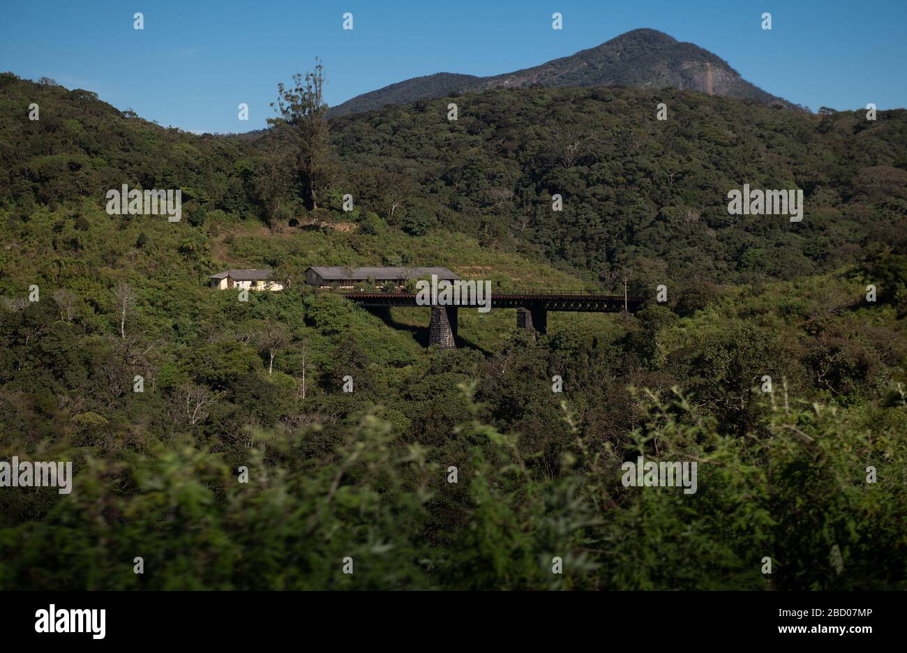 Famous train ride in Ella, Sri Lanka Stock Photo Alamy