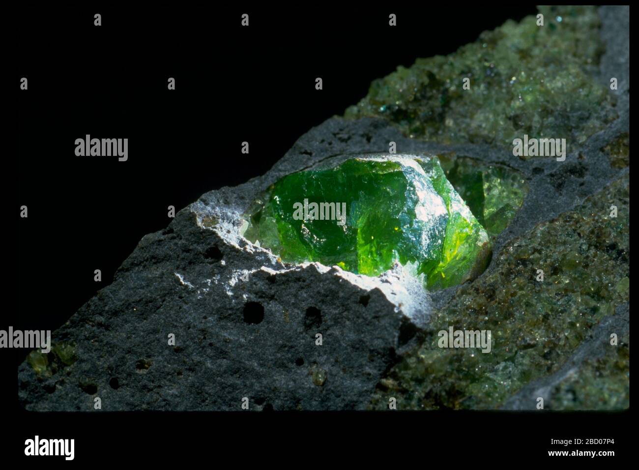 Photograph of a peridot crystal in basalt (170991) from the National Mineral Collection Forsterite Stock Photo