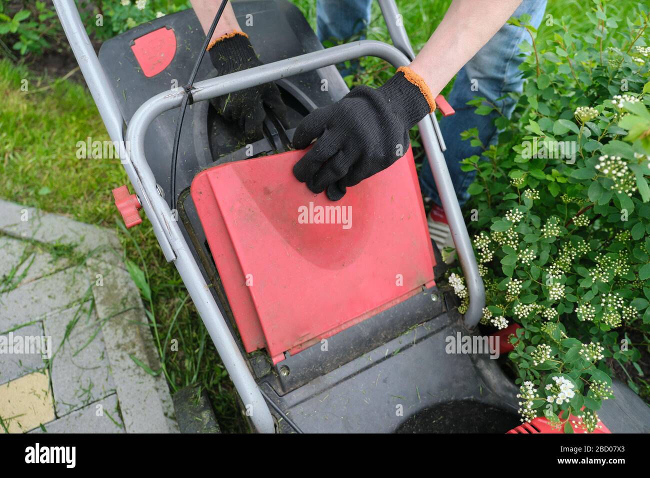 Trimmed green lawn hi-res stock photography and images - Alamy