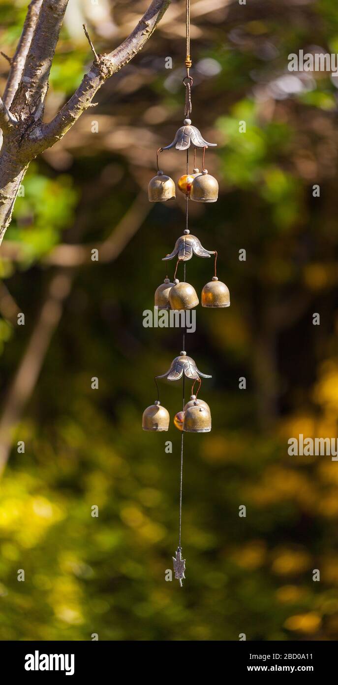 Brass garden wind chime hanging from a branch Stock Photo Alamy