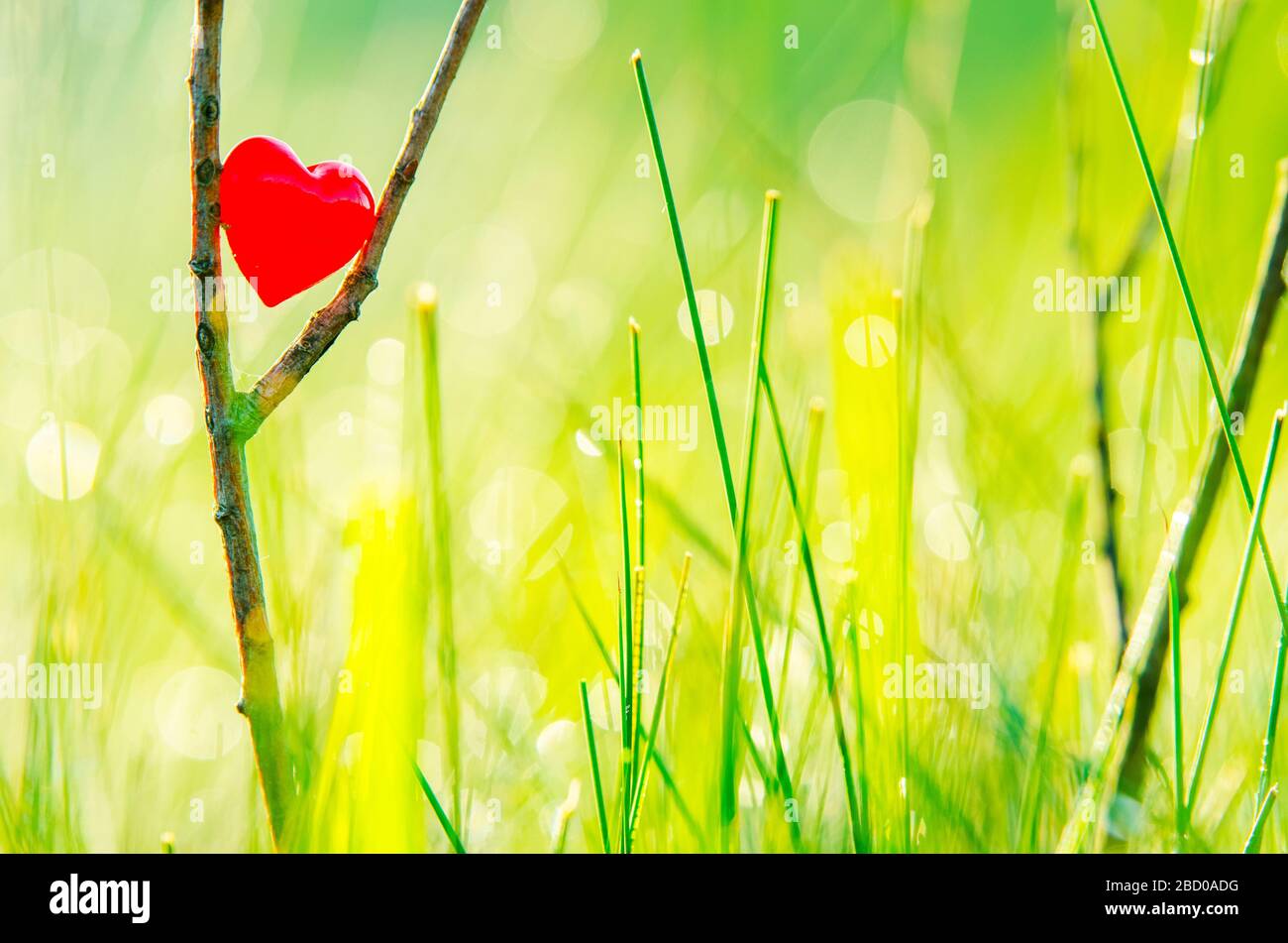 Wonderful background hi-res stock photography and images - Alamy