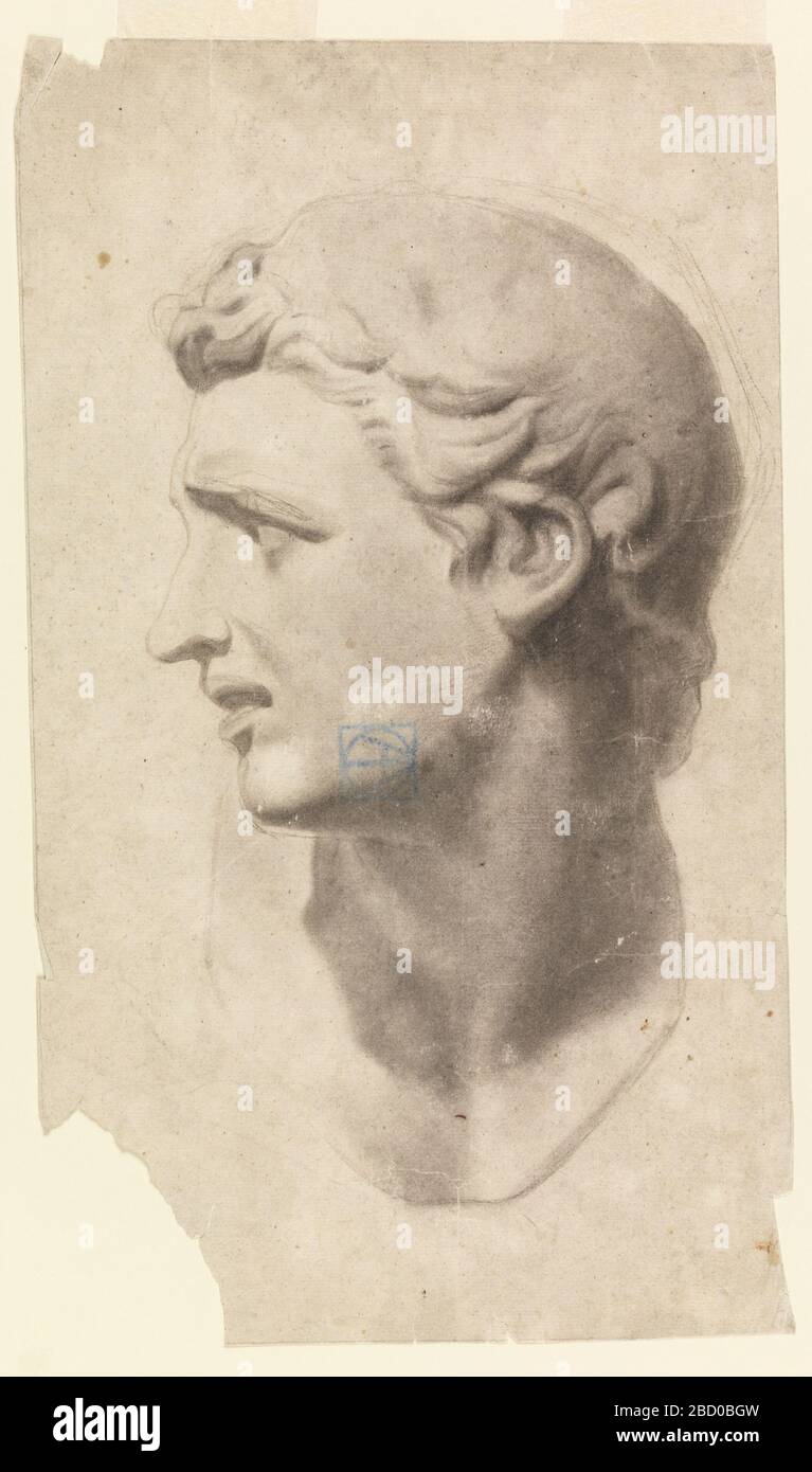 Study Of A Classical Male Head From A Plaster Cast Research In Progresshead Of A Young Man Turned Left Expression As If In Anguish Study Of A Classical Male Head From A