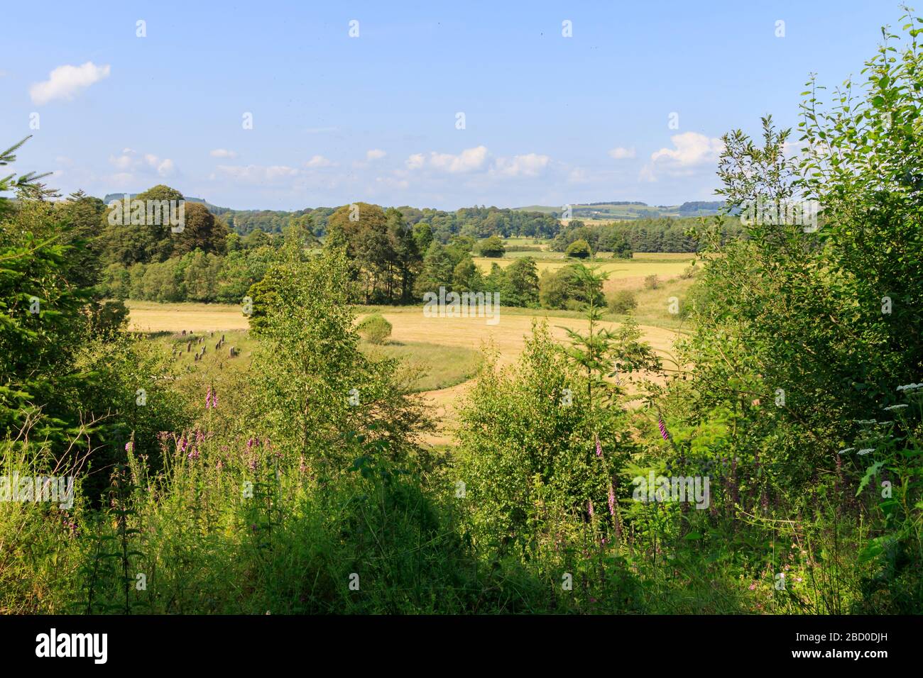 View from a woodland hillside over farmland and ancient burial ground Stock Photo