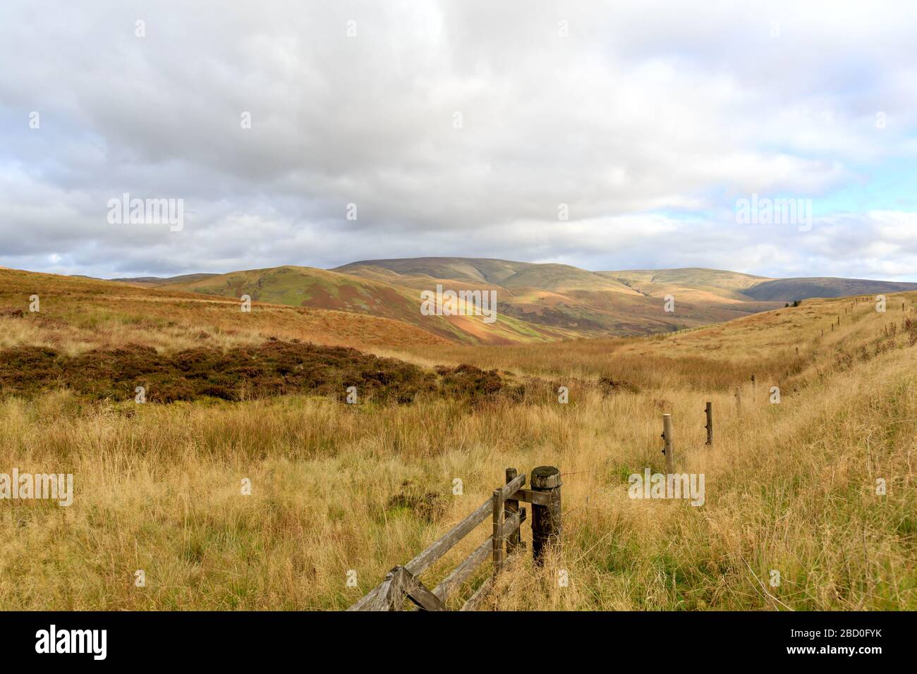 View over Autumn coloured hillsides In Dumfries and Galloway Scotland Stock Photo