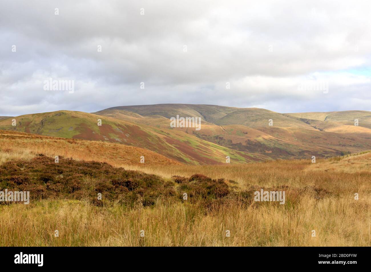 View over Autumn coloured hillsides In Dumfries and Galloway Scotland Stock Photo