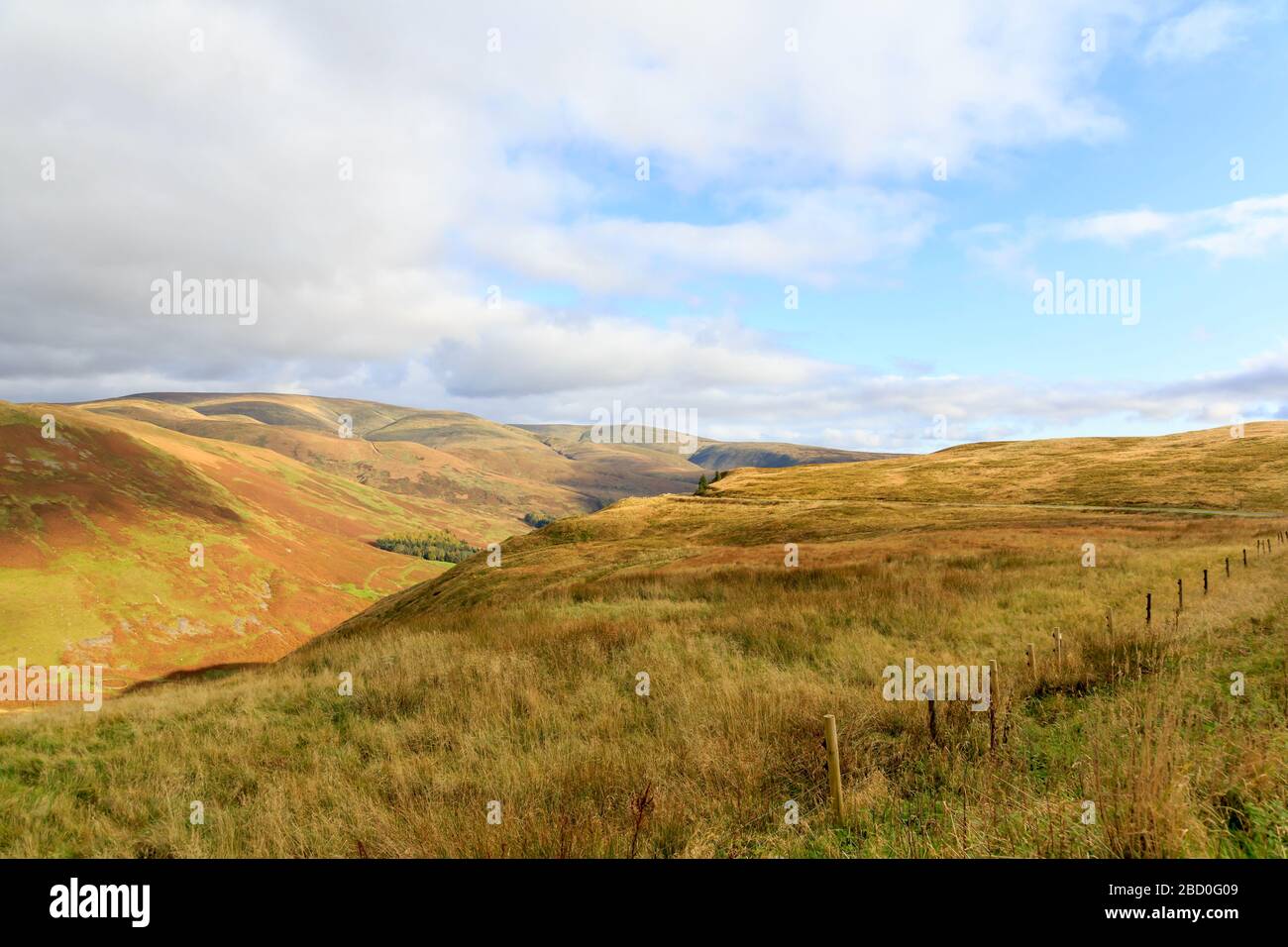 View over Autumn coloured hillsides north of the Scottish town of Moffat Dumfries and Galloway Scotland Stock Photo