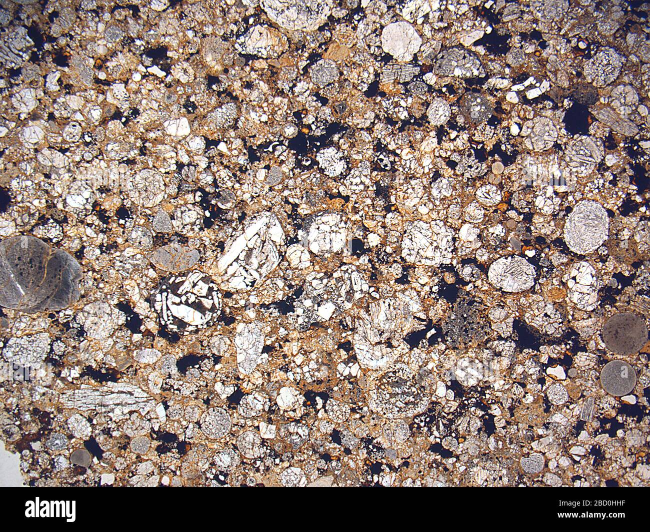 Clovis people america hi-res stock photography and images - Alamy