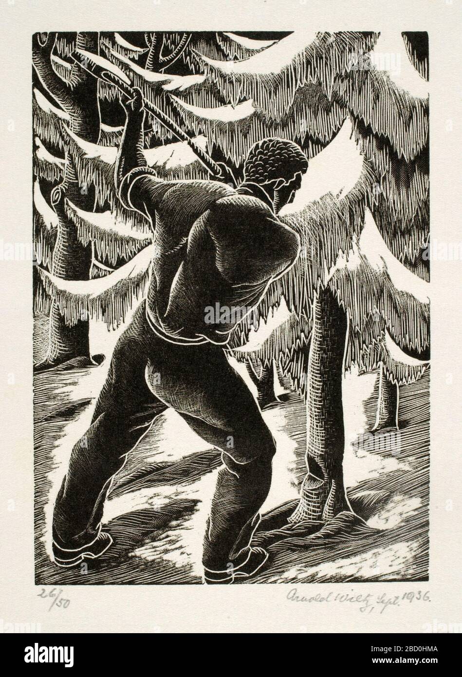 Untitled man cutting down tree Stock Photo - Alamy