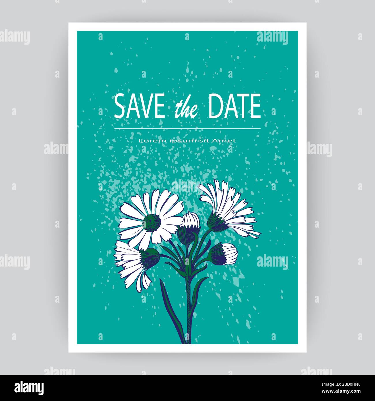 Hand drawn close-up Chrysanthemum flower artistic vector illustration ...