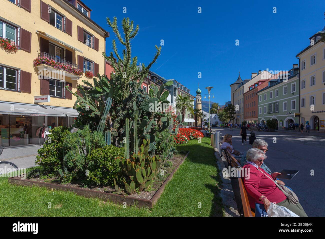 Cactus plants in the central square of Lienz Stock Photo