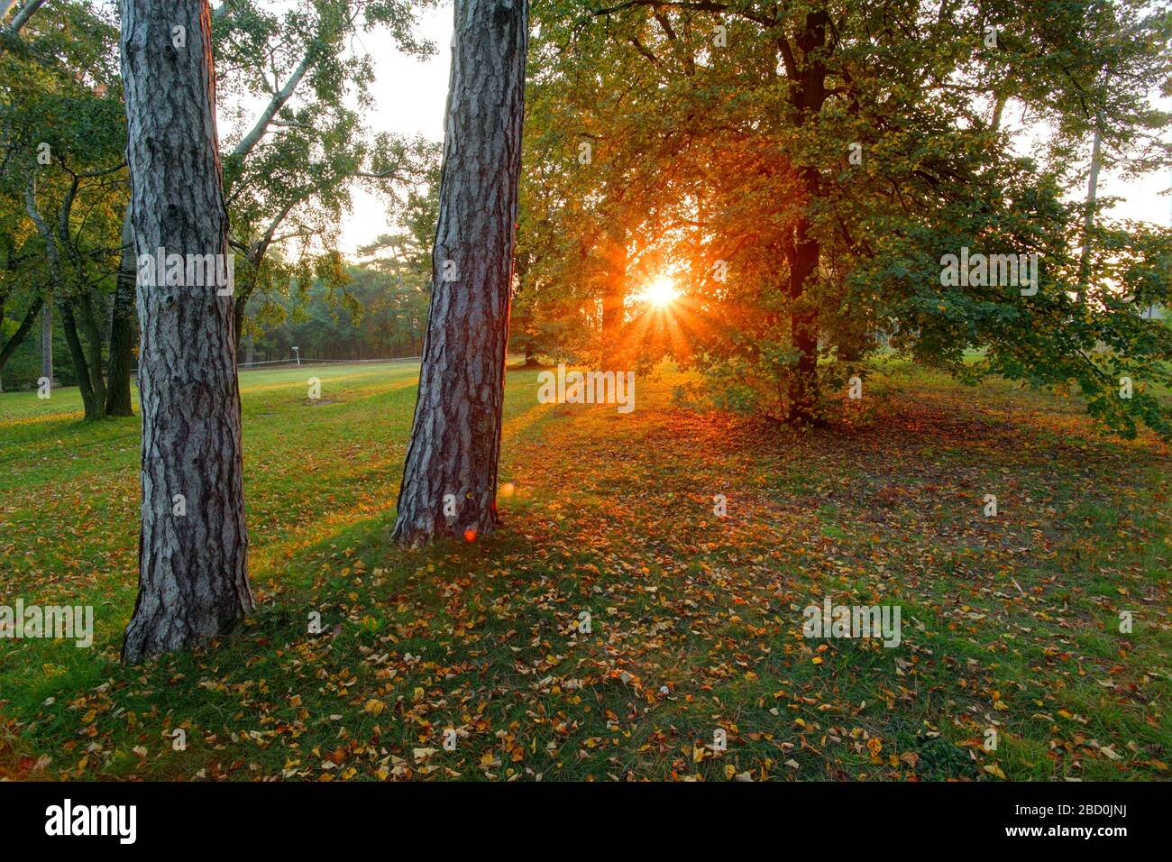 Sun park hi-res stock photography and images - Alamy