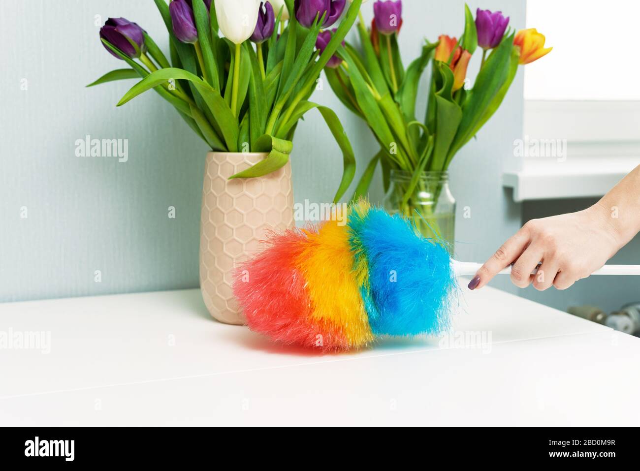 Housewife wipes dust with a dust brush during spring cleaning at home. Household chores and housekeeping. Stock Photo