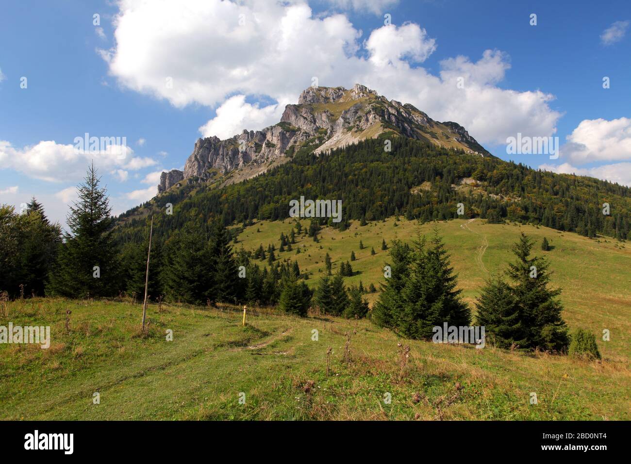 Summer mountain landscape with peak Rozsutec Stock Photo