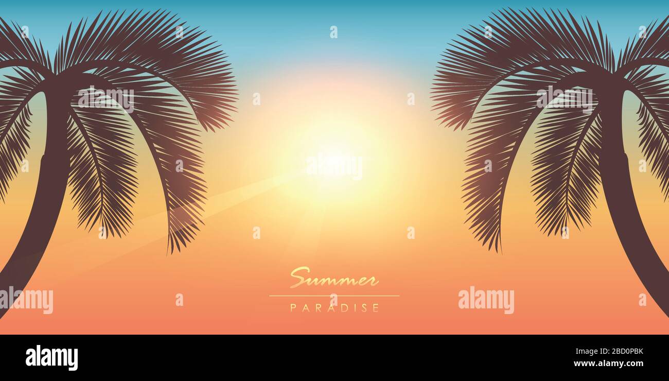 tropical summer paradise sunny background with palm tree vector illustration EPS10 Stock Vector