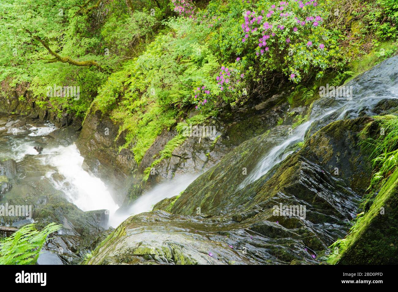 Devils bridge falls hi-res stock photography and images - Alamy