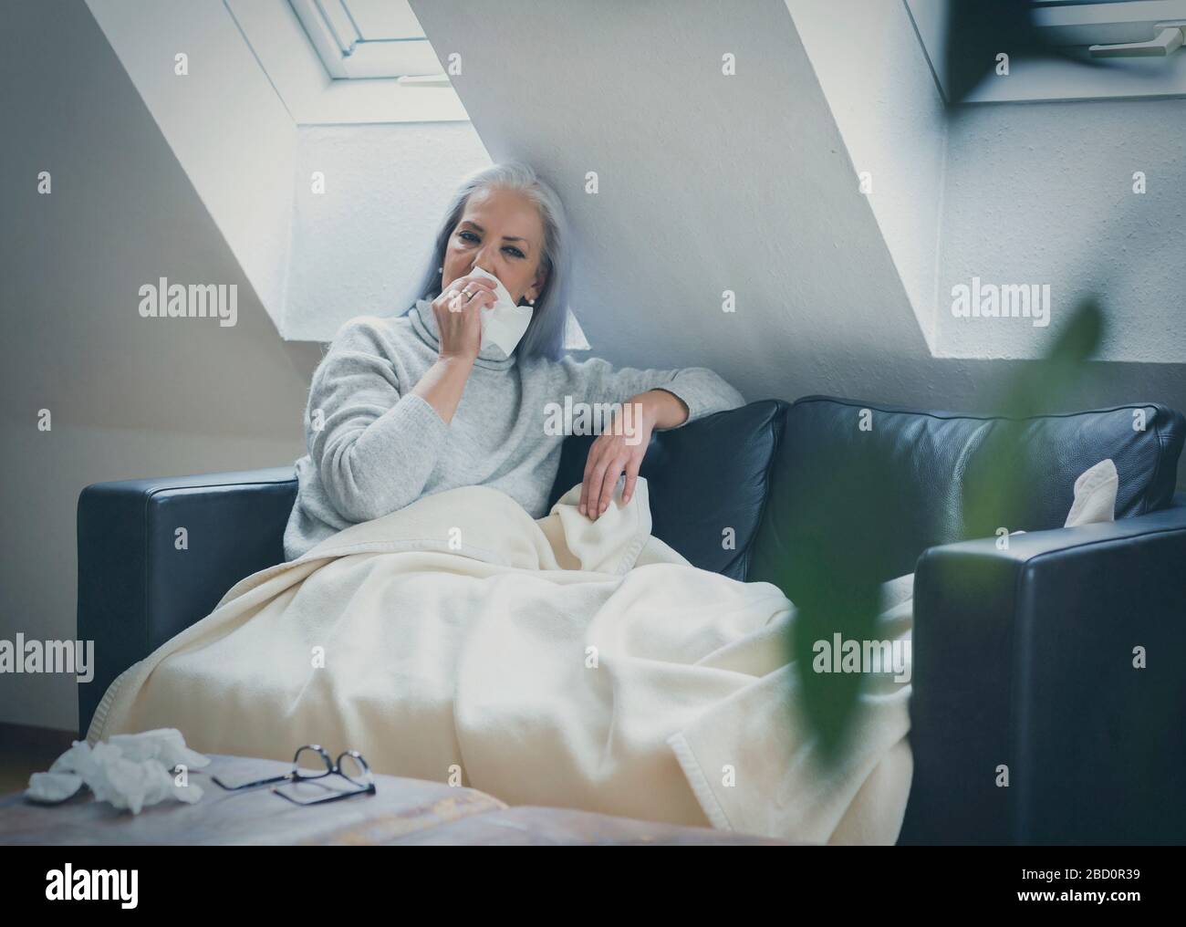 Elderly woman suffering from seasonal flu resting on a sofa at home covered by a rug blowing her nose on a tissue Stock Photo