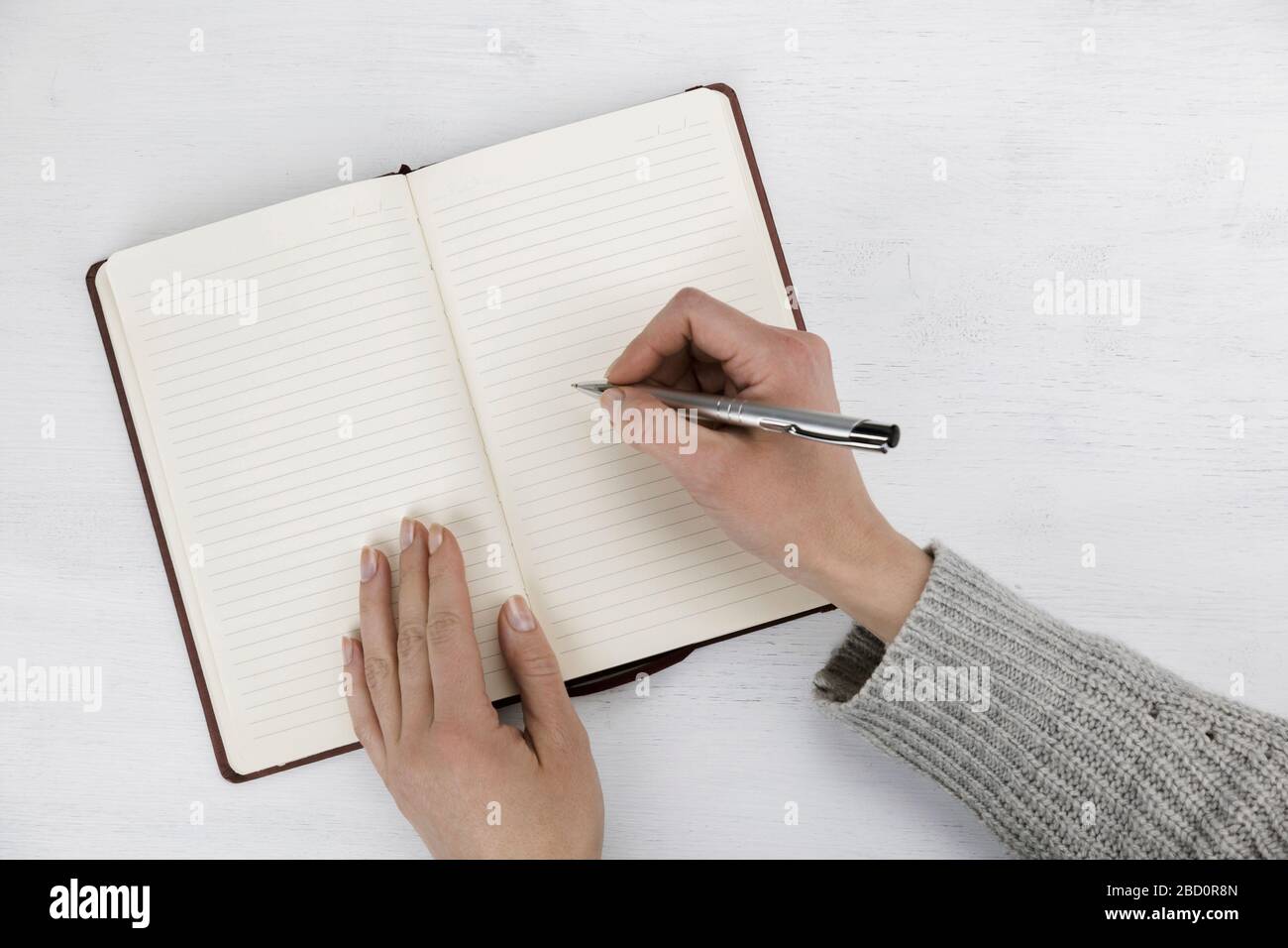 Fullfeder High Resolution Stock Photography And Images Alamy Fullfeder High Resolution Stock Photography And Images Alamy