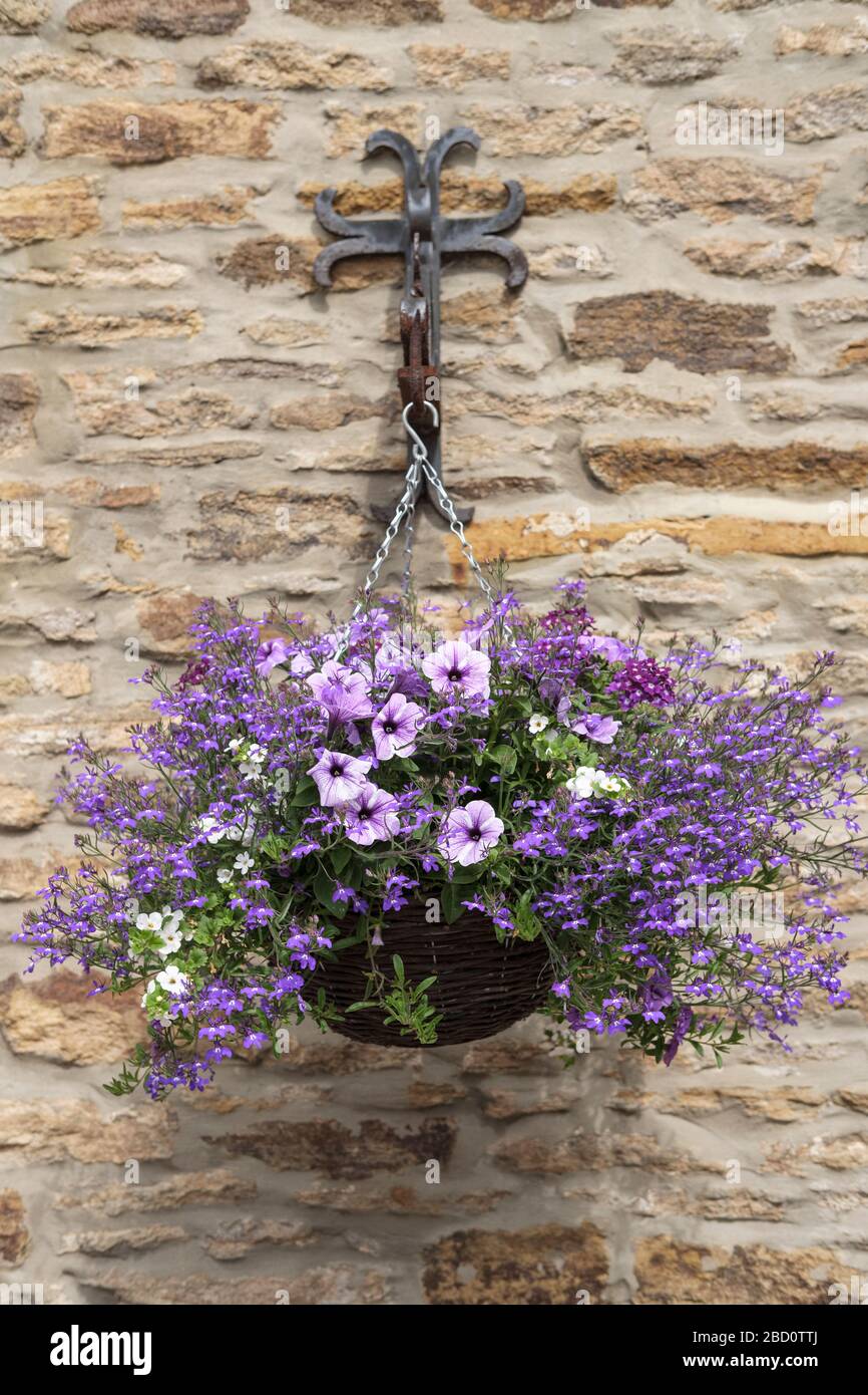 Hanging basket on stone wall hi-res stock photography and images - Alamy