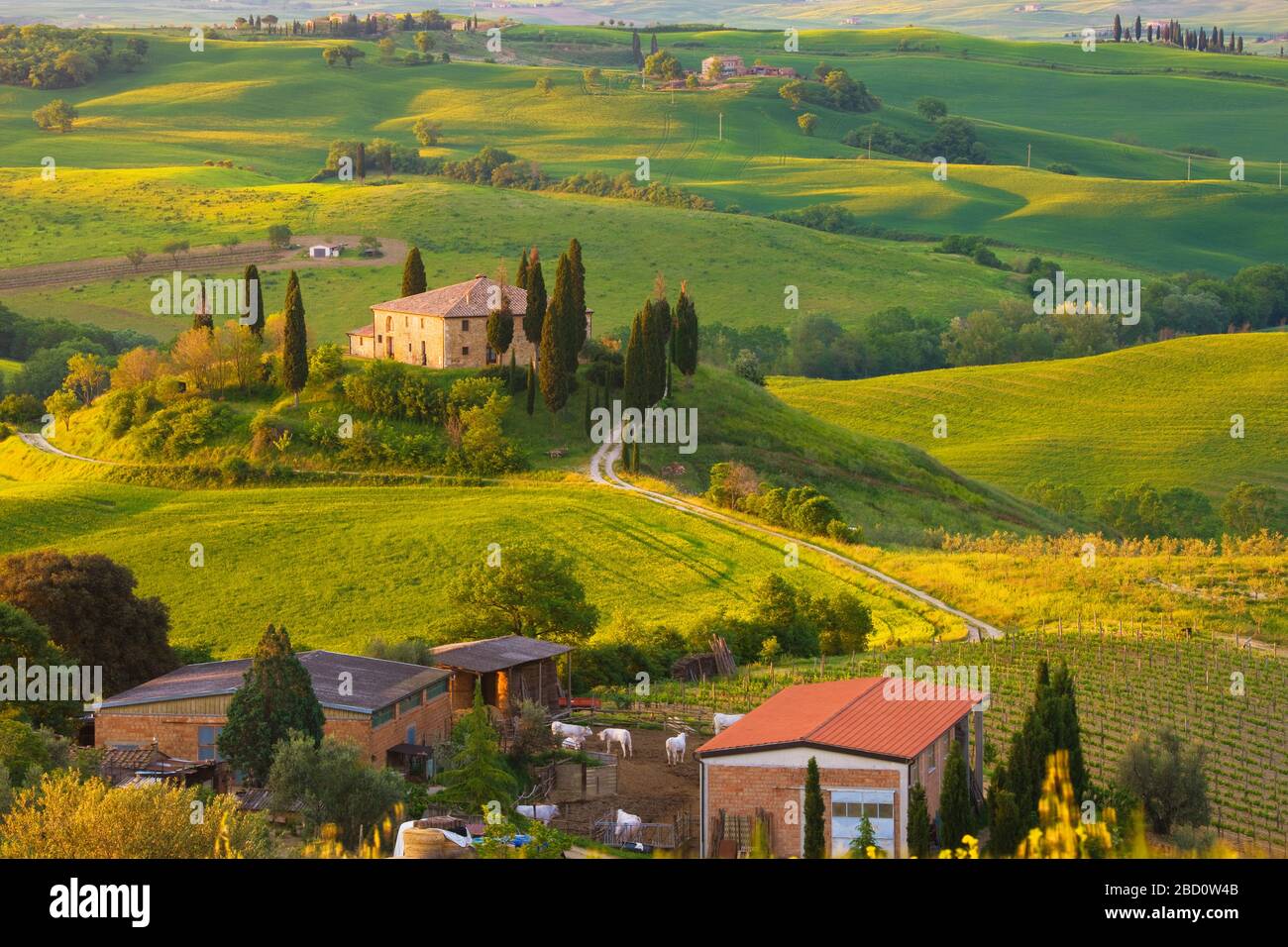 Italy, Tuscany, La Crete, Pienza, Farm House, Rolling Hills Stock Photo