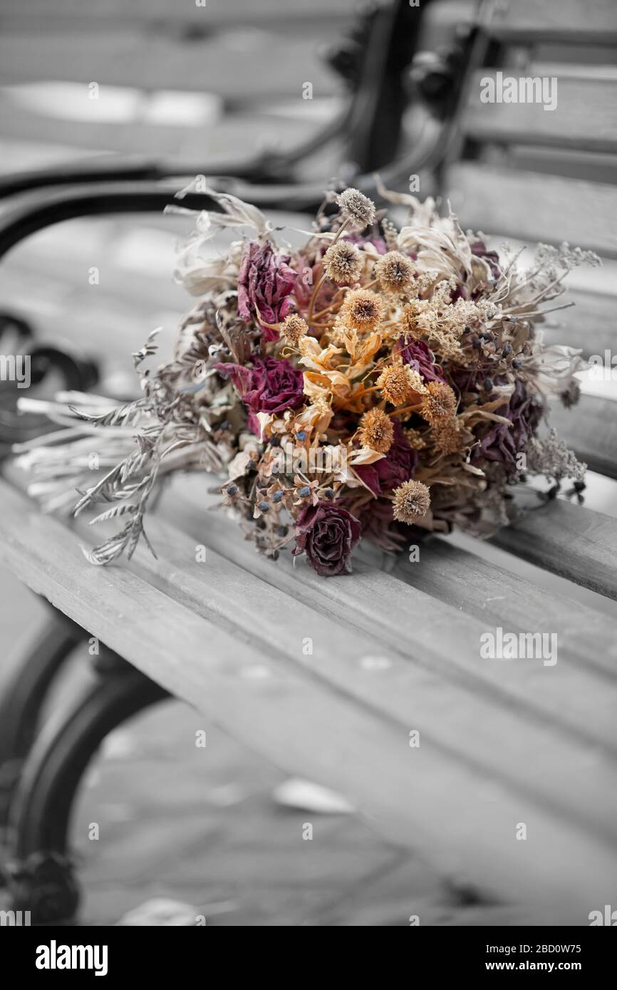 Dried Flower Bouquet, Park Bench Stock Photo