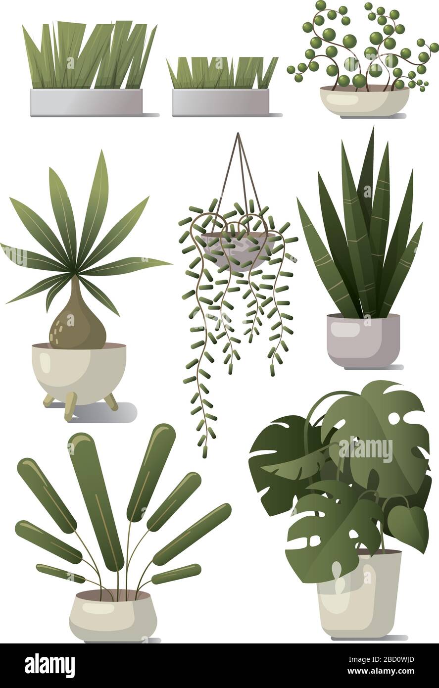 Vector set of home plants Stock Vector Image & Art - Alamy