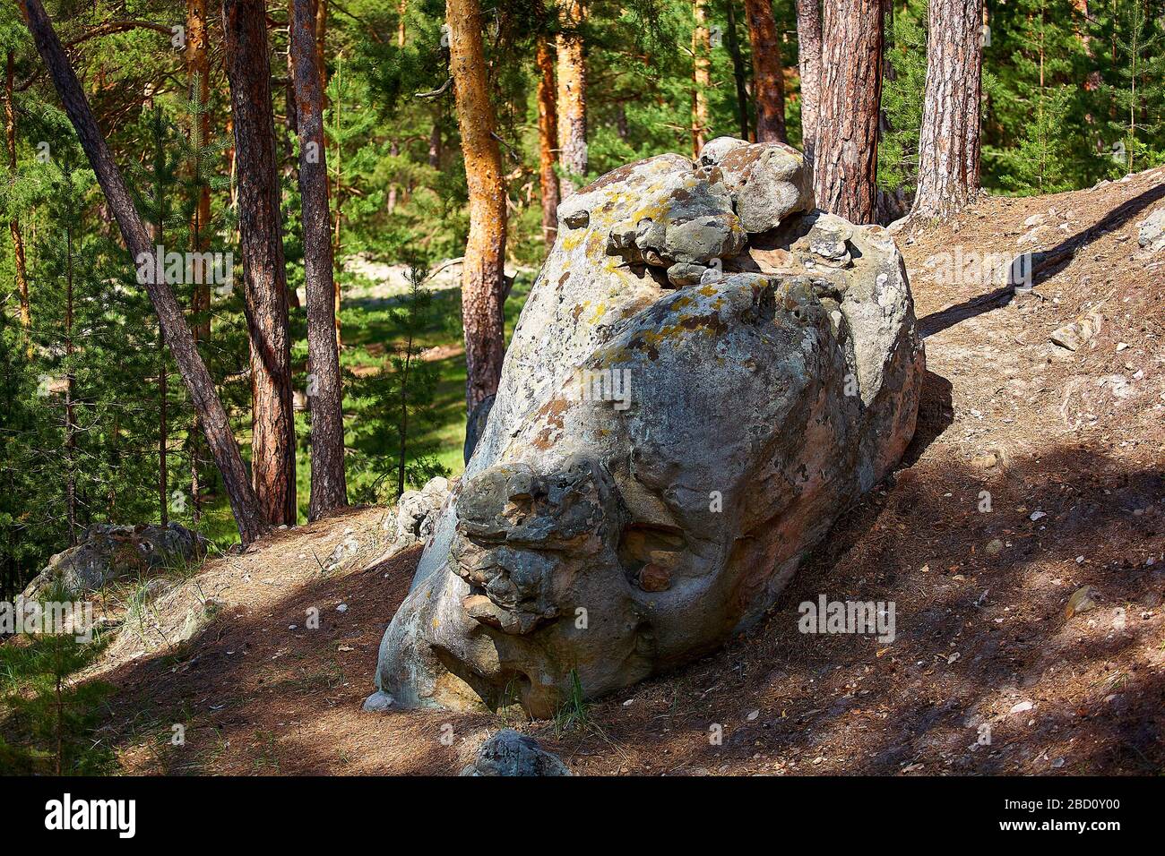 Large Rocks Forest Green trees large rocks beautiful hi-res stock photography and images ...