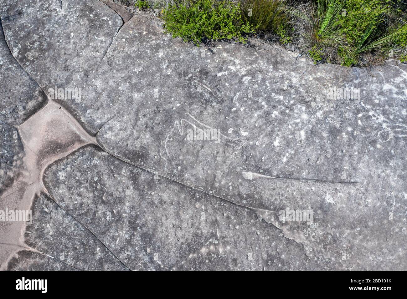 Aboriginal rock carving art in Kuringgai Chase, Sydney, Australia